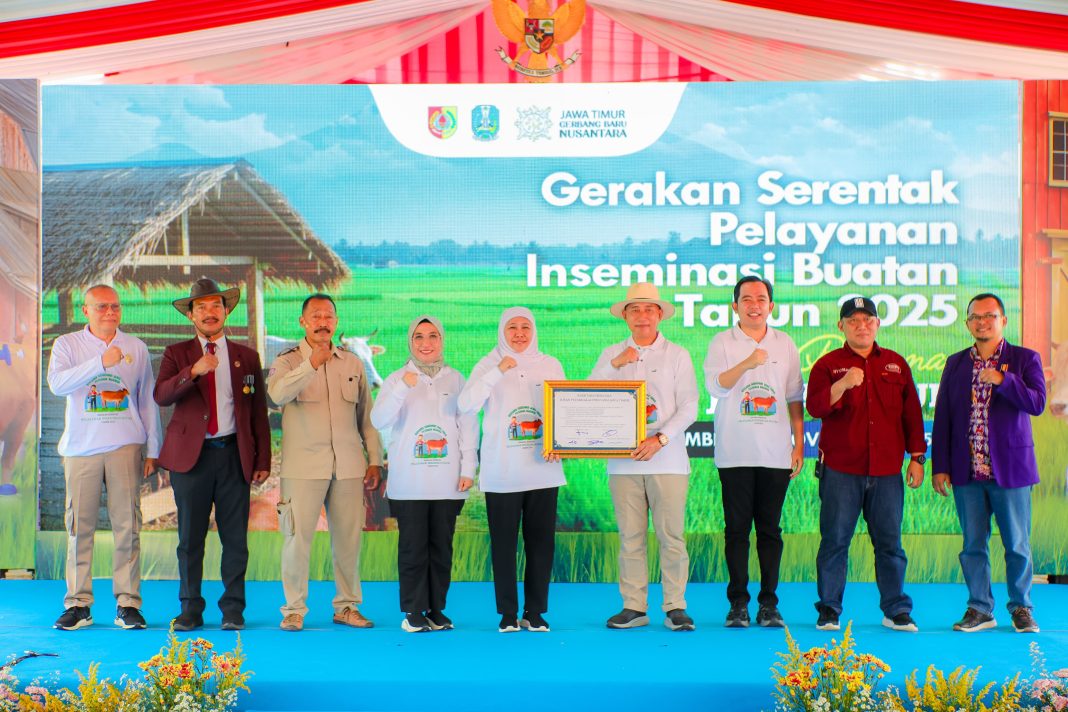 Gubernur Khofifah Tegas Tolak Impor Sapi dan Daging Masuk Wilayahnya